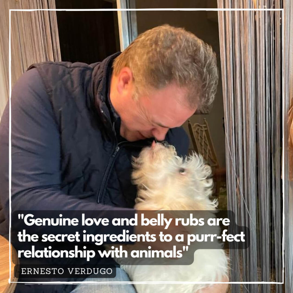 Genuine love and belly rubs are the secret ingredients to a purr-fect relationship with animals