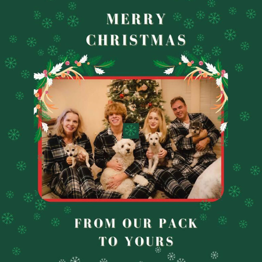 Merry Christmas From Our Pack To Yours